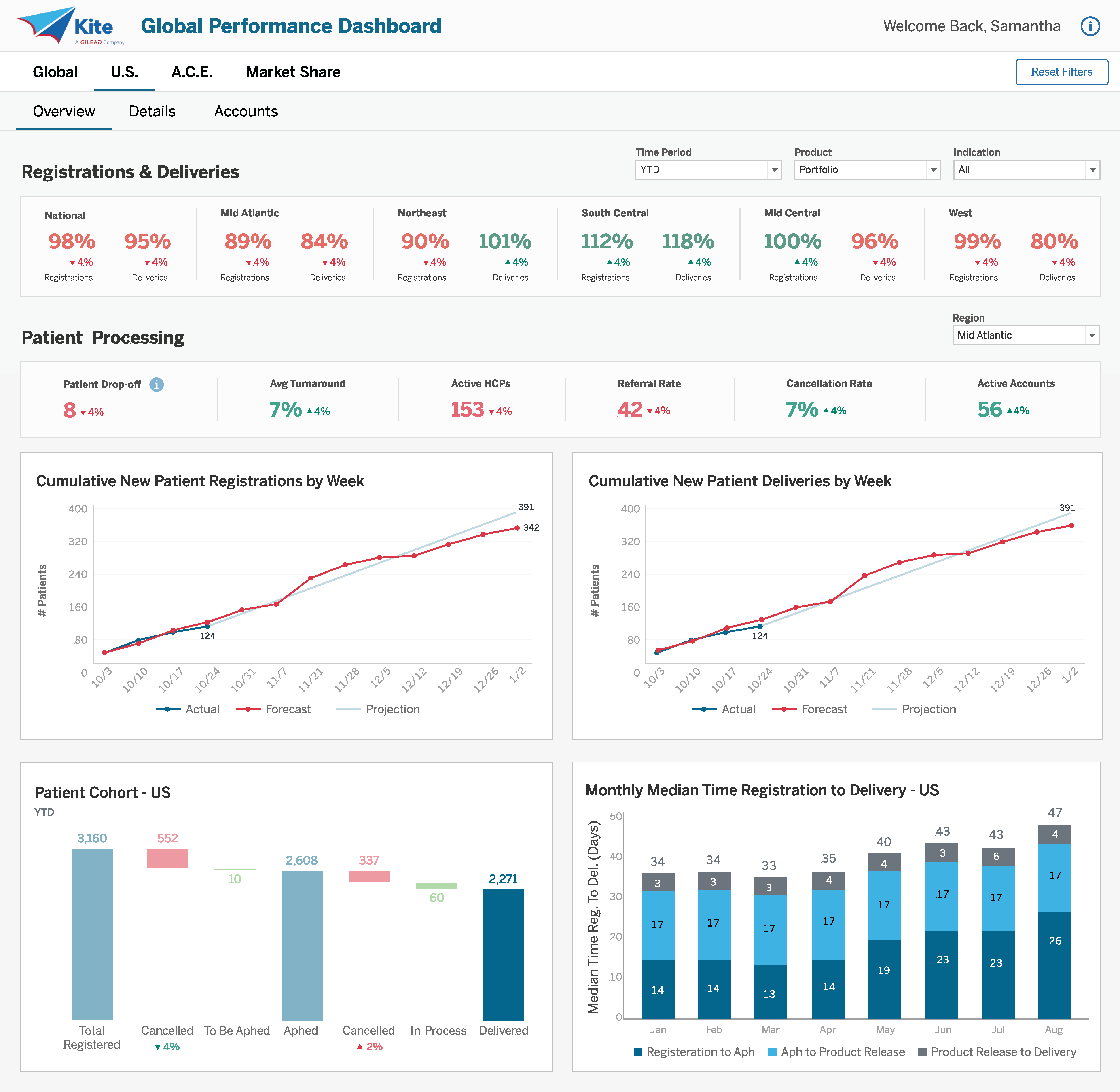Summary tab of report.
